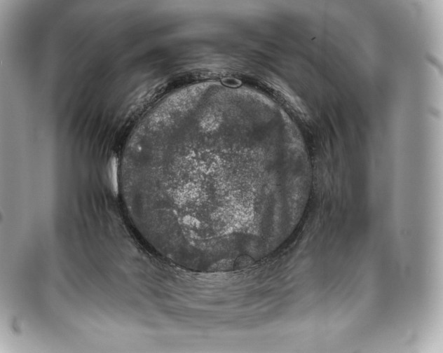 X0000096420022200802071713