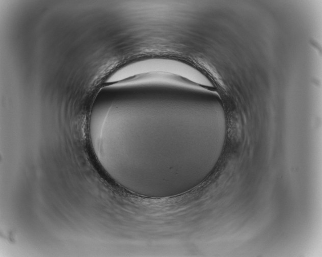 X0000096420023200802071713