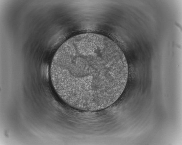 X0000096420024200802071713