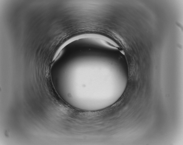 X0000096420025200802071713