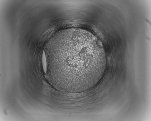 X0000096420026200802071713