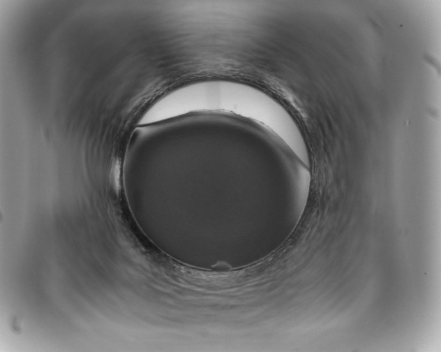 X0000096420027200802071713