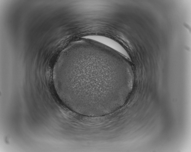 X0000096420029200802071713