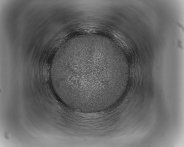 X0000096420030200802071713