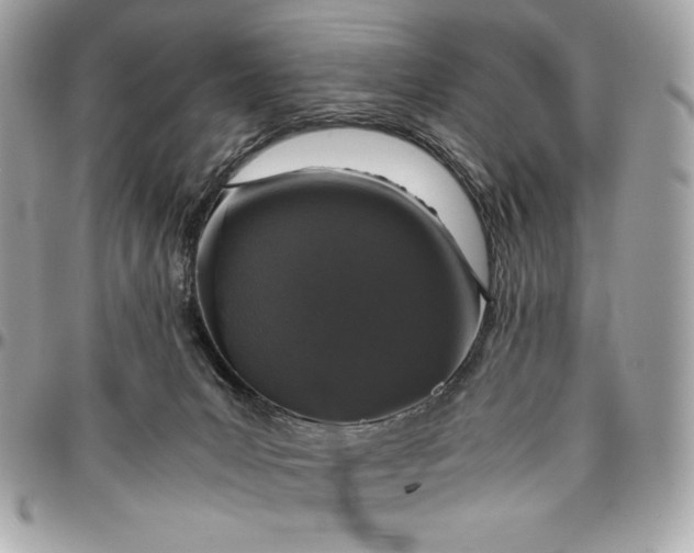 X0000096420031200802071713