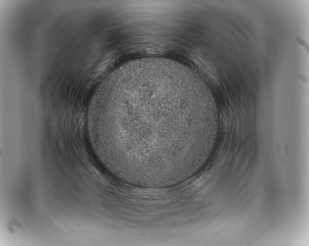 X0000096420032200802071713