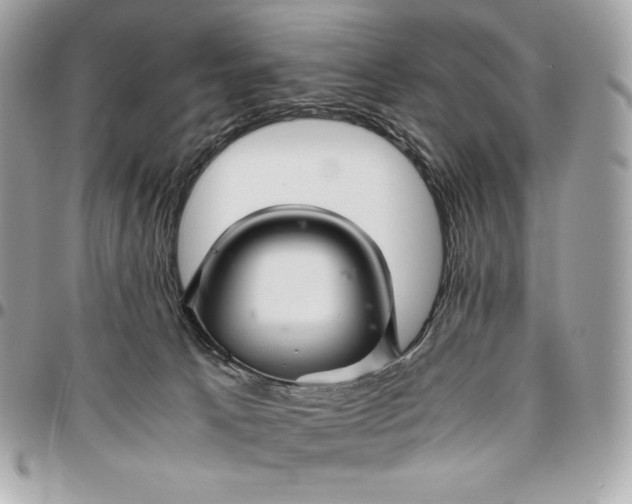 X0000096420033200802071713