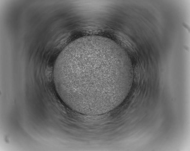 X0000096420034200802071713