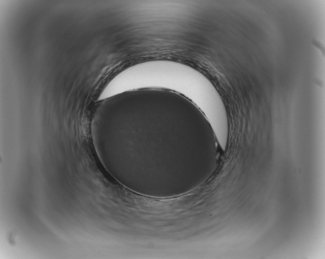 X0000096420035200802071713