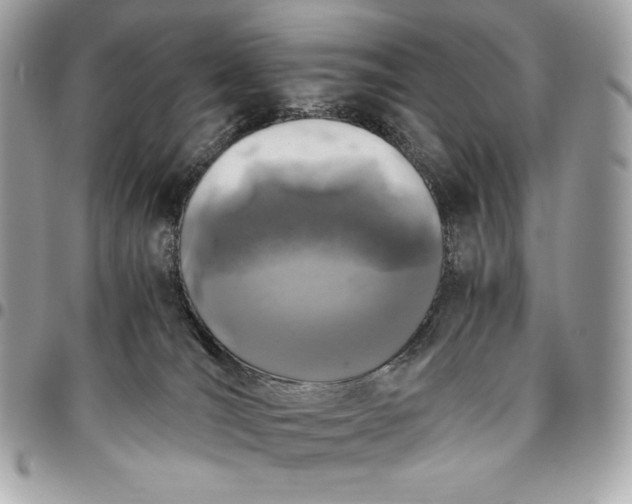 X0000096420036200802071713