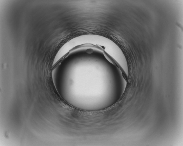 X0000096420037200802071713