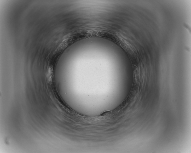 X0000096420038200802071713