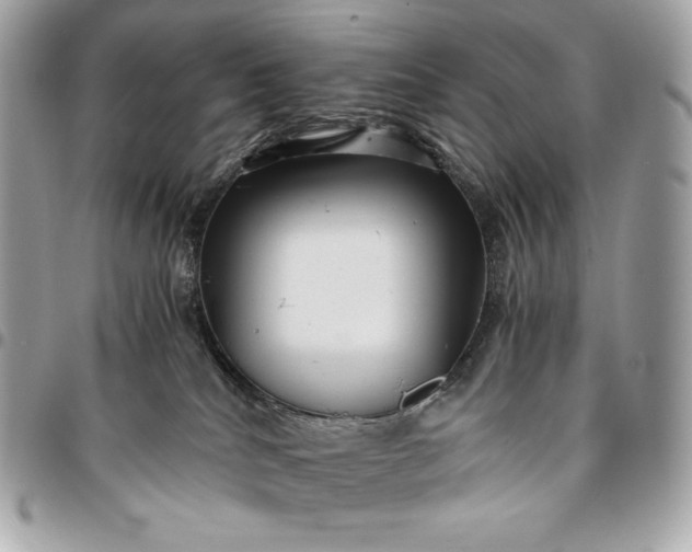 X0000096420040200802071713