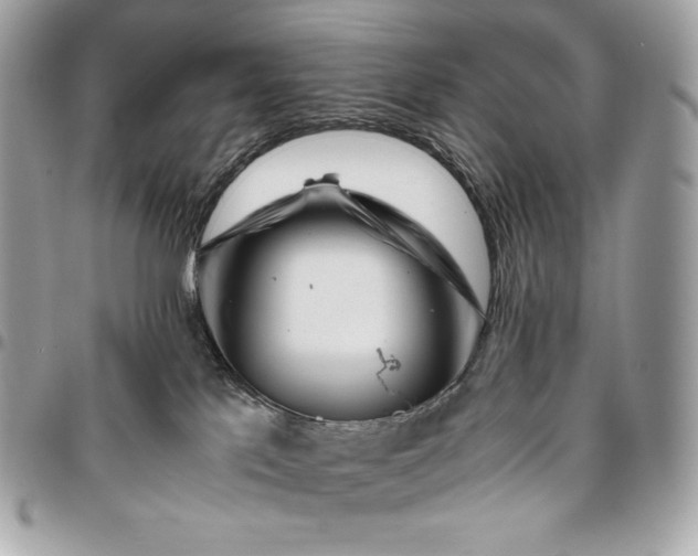 X0000096420041200802071713