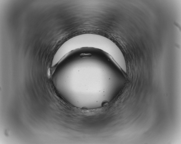 X0000096420042200802071713