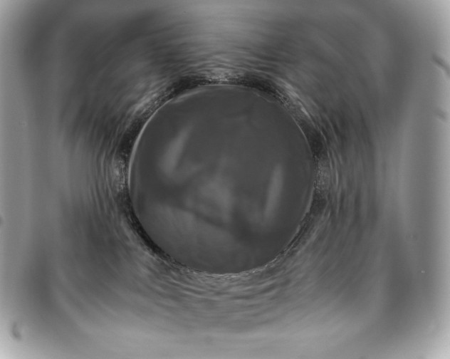 X0000096420043200802071713