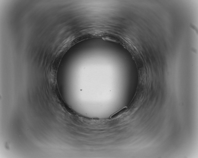 X0000096420044200802071713