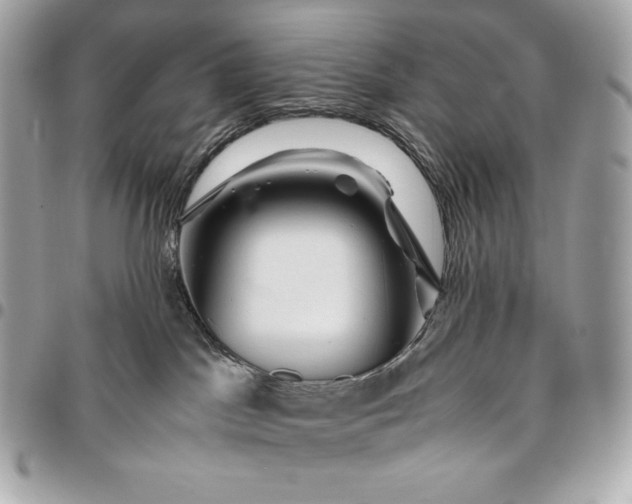 X0000096420045200802071713