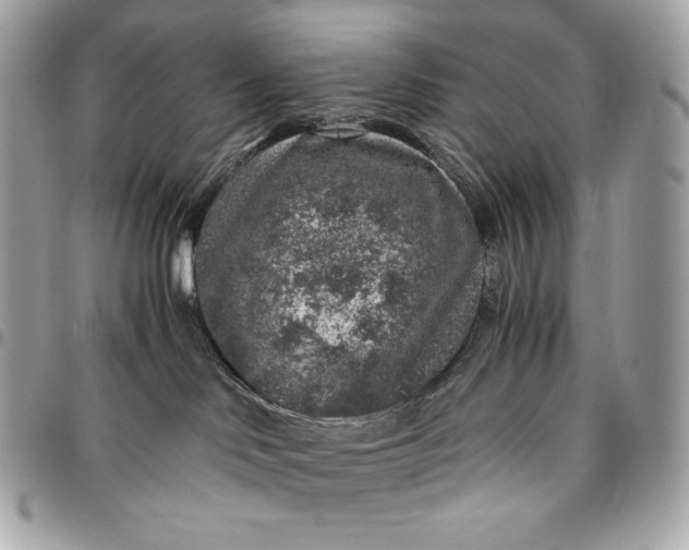 X0000096420046200802071713