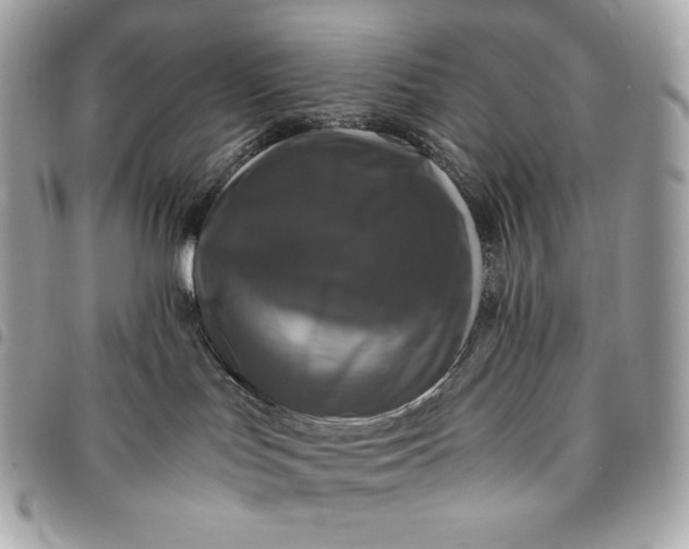 X0000096420047200802071713