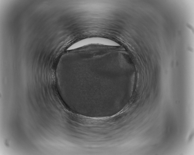 X0000096420048200802071713