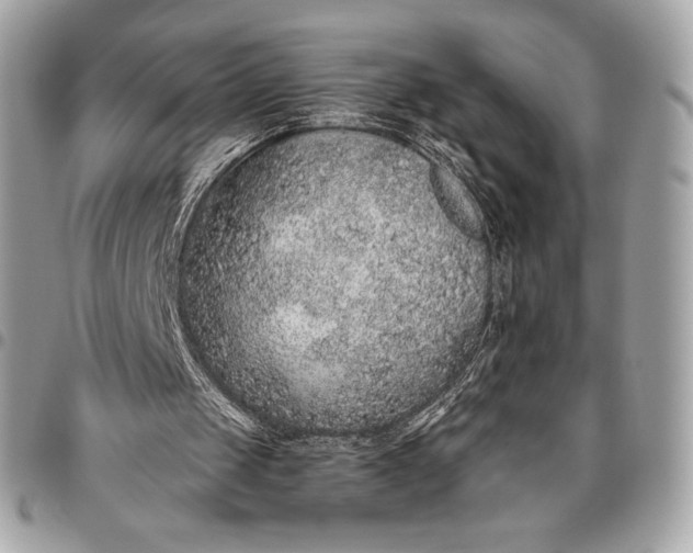 X0000096420049200802071712