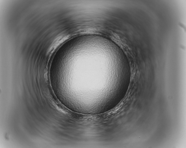 X0000096420050200802071712