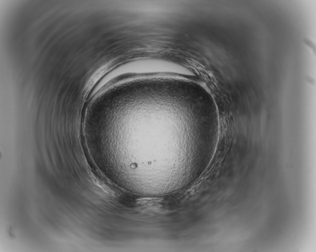 X0000096420051200802071712