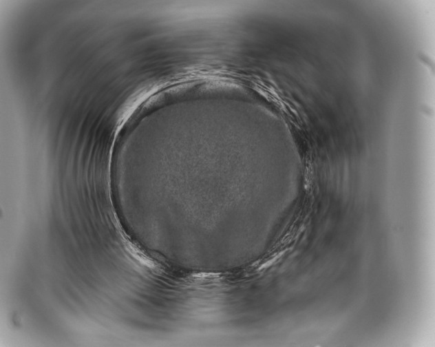 X0000096420052200802071712