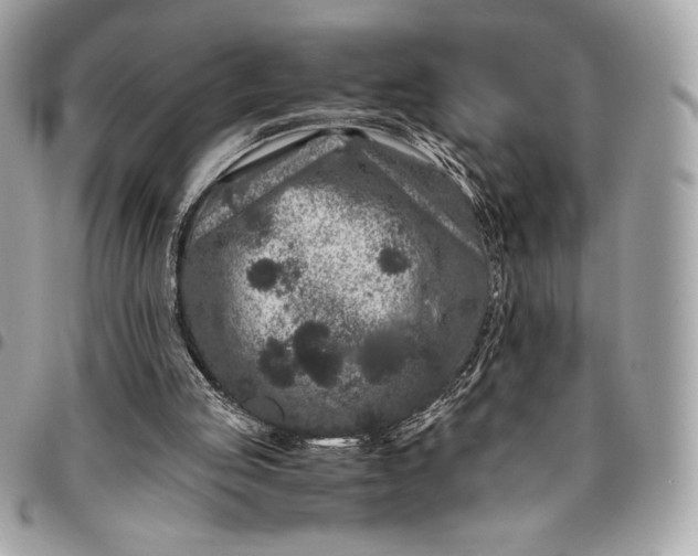 X0000096420053200802071712