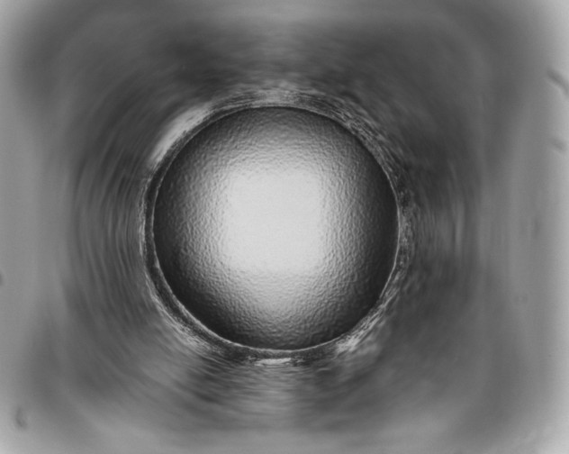 X0000096420054200802071712