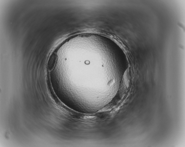 X0000096420055200802071712