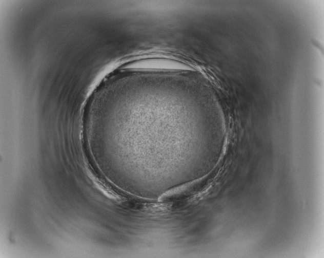 X0000096420056200802071712