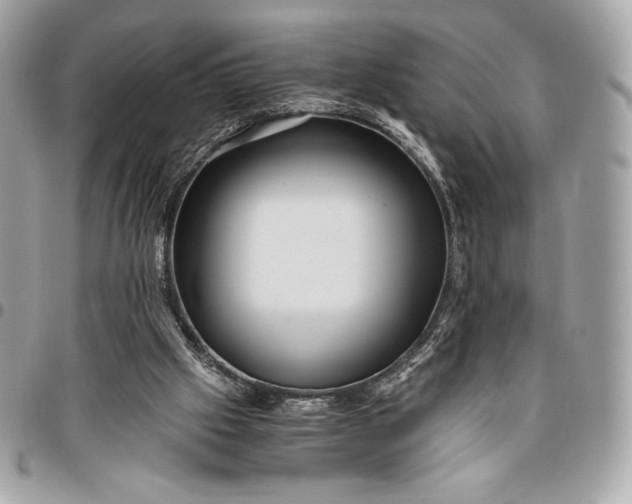 X0000096420057200802071712