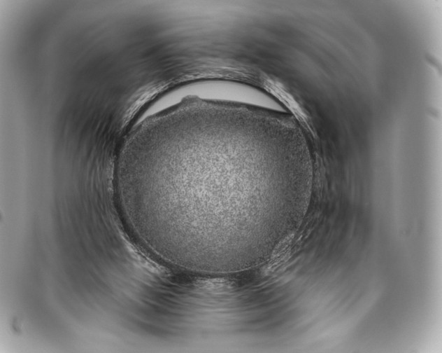 X0000096420058200802071712