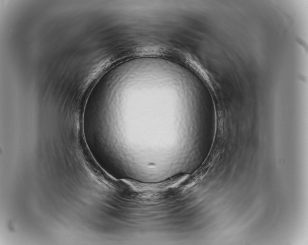 X0000096420059200802071712