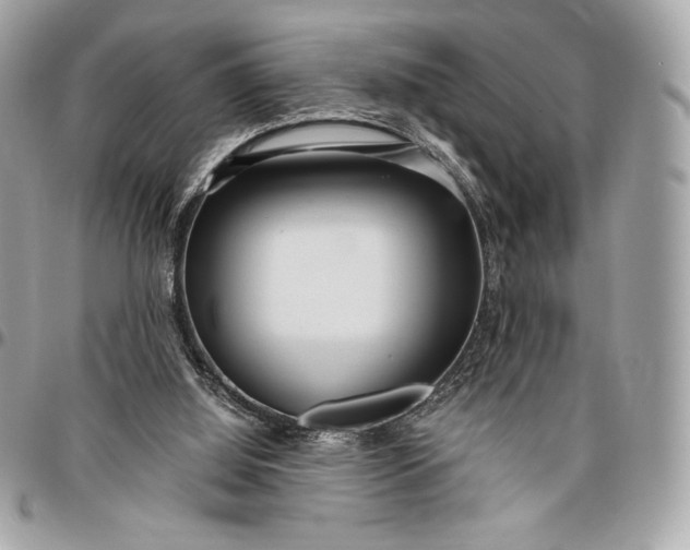 X0000096420060200802071712