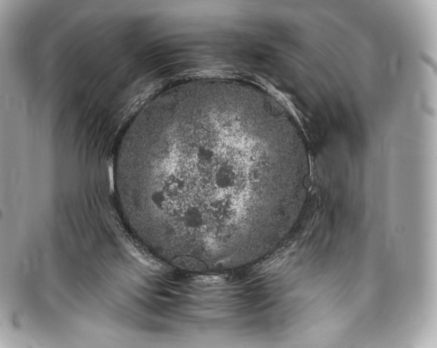 X0000096420061200802071712