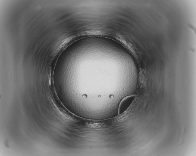 X0000096420062200802071712