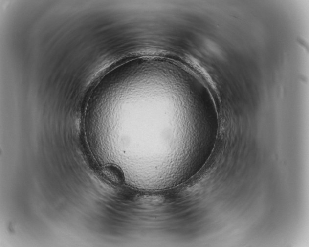 X0000096420063200802071712