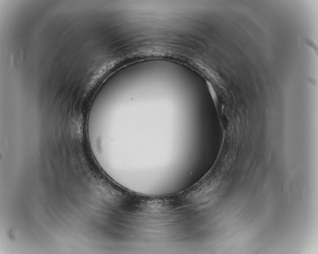 X0000096420064200802071712