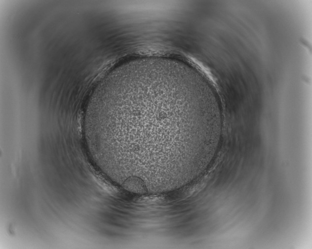 X0000096420065200802071712