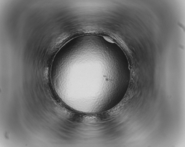 X0000096420066200802071712