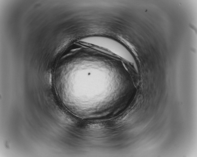 X0000096420067200802071712