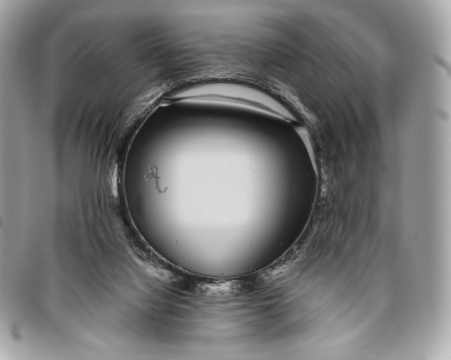 X0000096420068200802071712