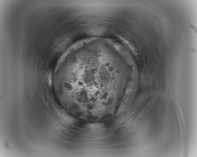 X0000096420069200802071712