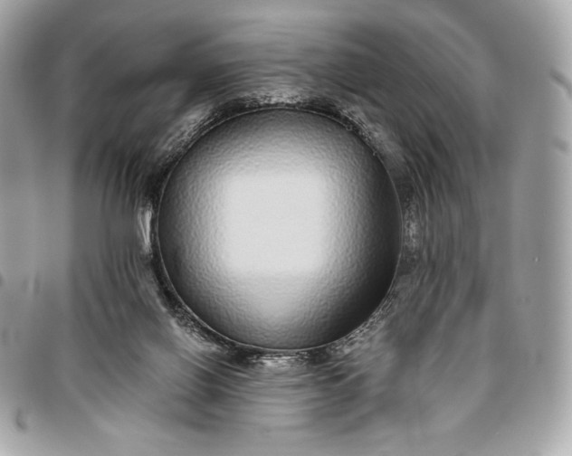 X0000096420070200802071712