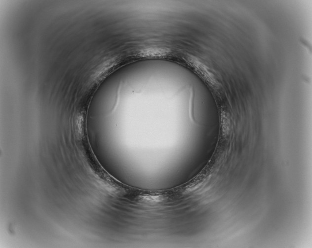 X0000096420071200802071712