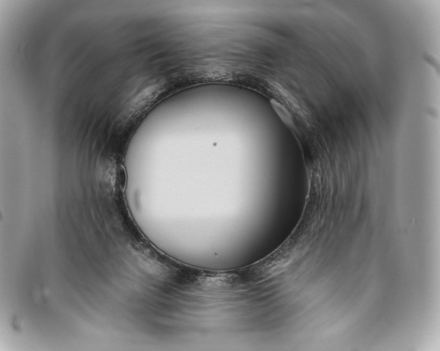 X0000096420072200802071712