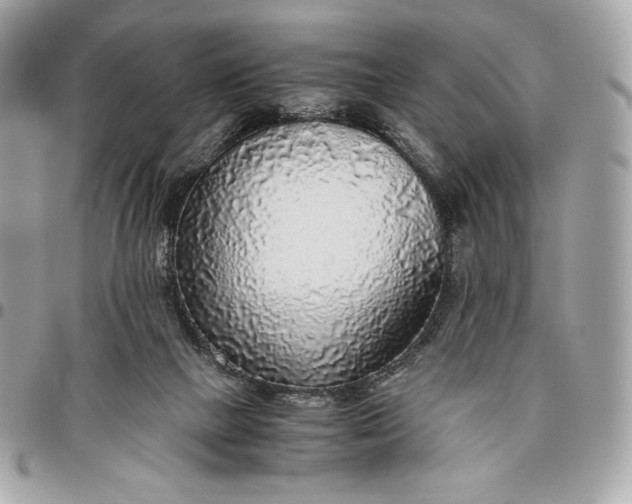 X0000096420073200802071712